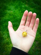 "MYSTERY" Prasiatko [Malá kľúčenka]