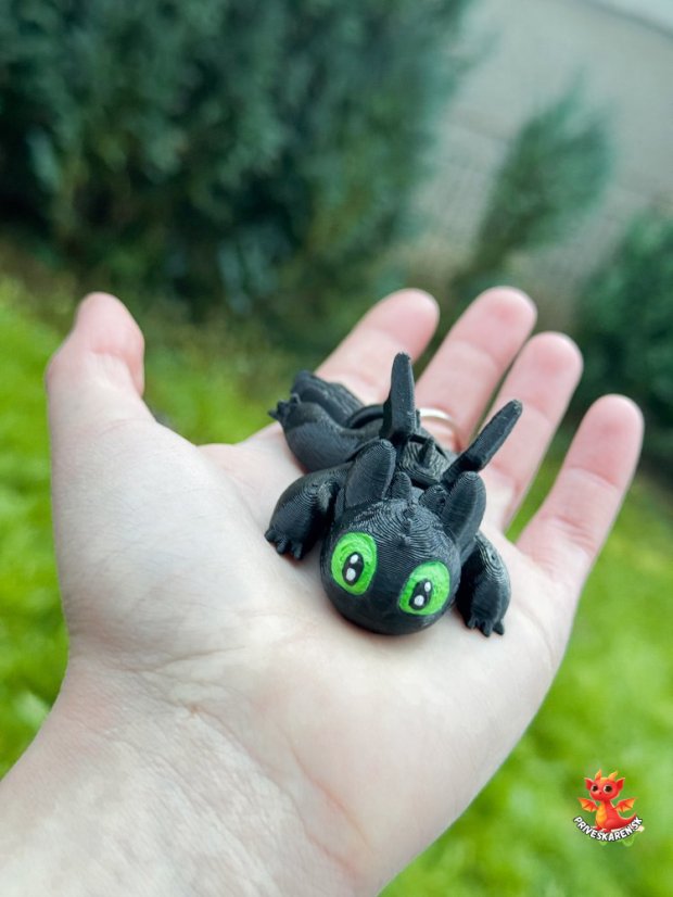 Bezzubka dráčik (Kľúčenka)