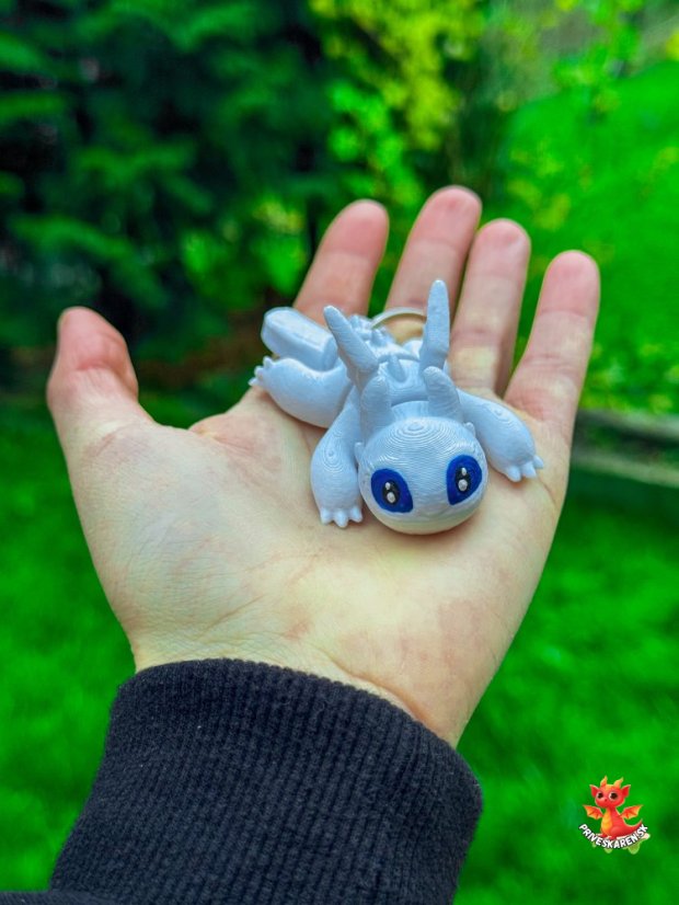 Bezzubka dráčik (Kľúčenka)