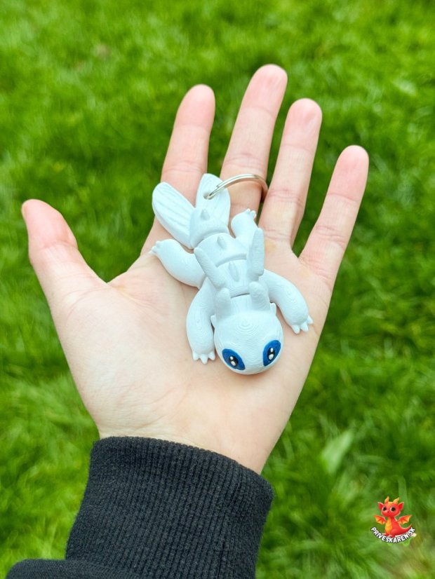 Bezzubka dráčik (Kľúčenka)