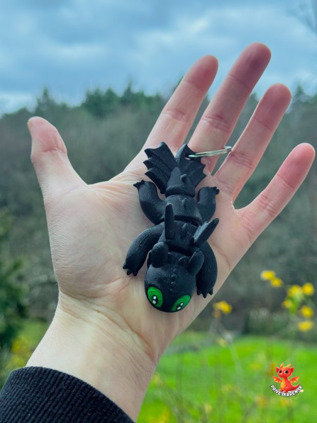 Bezzubka dráčik (Kľúčenka)